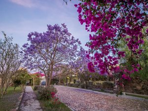 AltaVista Lot 5 – 1,163 m² | Large Luxury Homesite in San Miguel de Allende