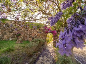 AltaVista Lot 3 – 1,043 m² | Luxury Lot Near Centro in San Miguel de Allende