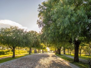 AltaVista Lot 1 – 962 m² | Boutique Eco-Community Near Centro