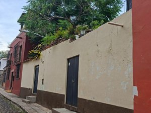 Terreno Árboles