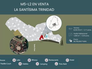 M5-L2 LA SANTISIMA TRINIDAD