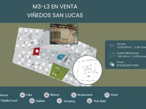 M3-L3 VIÑEDOS SAN LUCAS