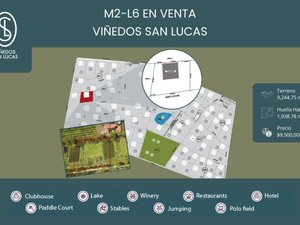 M2-L6 VIÑEDOS SAN LUCASS