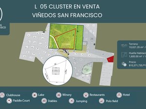 L 5  CLÚSTER VIÑEDOS SAN FRANCISCO
