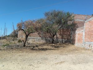 Lote 9 Poblado de Tirado