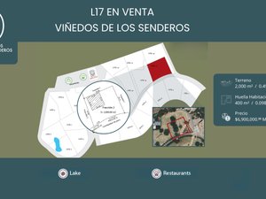 L 4  VIÑEDOS DE LOS SENDEROS