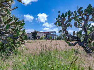 Rancho Sunrise Fiesta