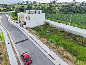 Zirándaro Lavanda Lot 7
