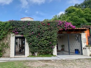 Casa Jardin