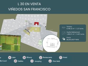 L30 VIÑEDOS SAN FRANCISCO