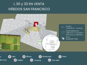 L 30 Y 33 VIÑEDOS SAN FRANCISCO