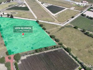 Lote La Finca