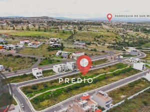 Lote Lavanda