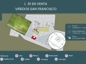 L61 VIÑEDOS SAN FRANCISCO