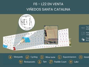 F6 - L22 VIÑEDOS SANTA CATALINA