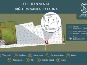 F1 - L6 VIÑEDOS SANTA CATALINA