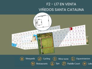 F2 - L17 VIÑEDOS SANTA CATALINA
