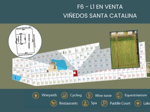 F6 - L1 VIÑEDOS SANTA CATALINA