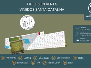 F4 - L15 VIÑEDOS SANTA CATALINA