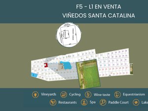 F5 - L1 VIÑEDOS SANTA CATALINA