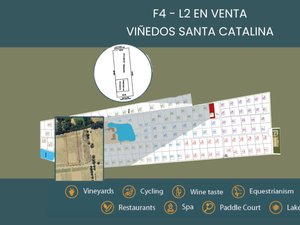 F4 - L2 VIÑEDOS SANTA CATALINA