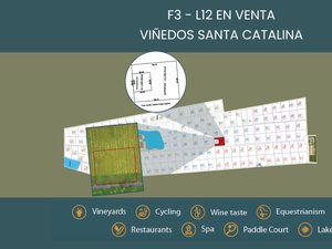 F3 - L12 VIÑEDOS SANTA CATALINA