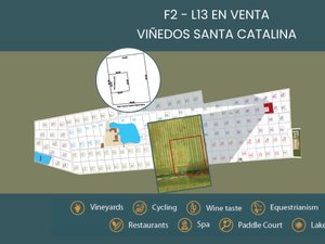 F2 - L13 VIÑEDOS SANTA CATALINA