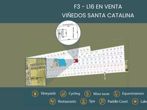 F3 -L16 VIÑEDOS SANTA CATALINA