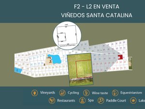 F2 - L2 VIÑEDOS SANTA CATALINA