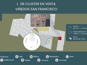 L 8  VIÑEDOS SAN FRANCISCO