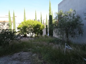 Lote San Gamaliel 52