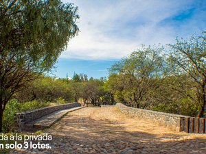 Lote Cané Rancho La Loma