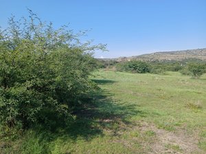 Lote Sol