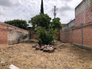 Lote Granada