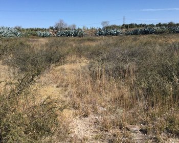 Lote en la Lagunita – San Miguel de Allende real estate photo 3