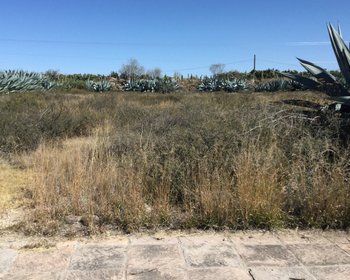 Lote en la Lagunita – San Miguel de Allende real estate photo 1