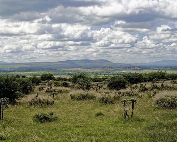 The lot you are looking for – San Miguel de Allende real estate photo 1