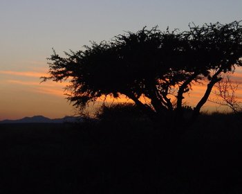 The lot you are looking for – San Miguel de Allende real estate photo 4