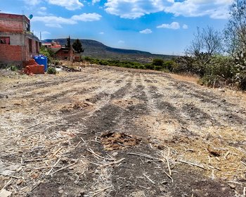 Lote en Alcocer – San Miguel de Allende real estate photo 4