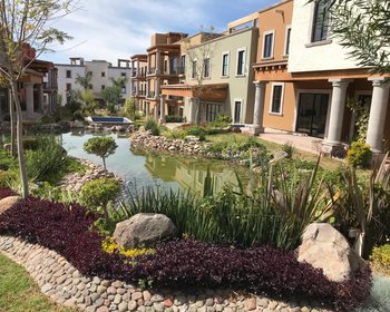 Casa Javier AVAILABLE May 2024 onwards – San Miguel de Allende real estate photo 1