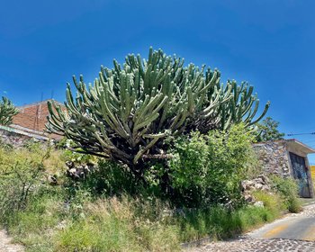 Lote con vista panoramica en Venta, Colonia Olimpo  – San Miguel de Allende real estate photo 2