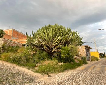 Lote con vista panoramica en Venta, Colonia Olimpo  – San Miguel de Allende real estate photo 1