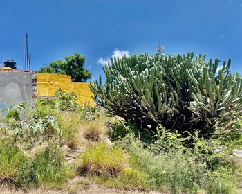 Lote con vista panoramica en Venta, Colonia Olimpo  – San Miguel de Allende real estate photo 3