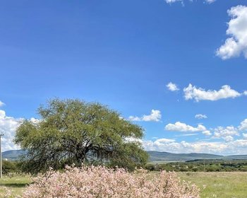 Panoramic Views, Privacy, and Flexibility from La Vivienda – San Miguel de Allende real estate photo 3