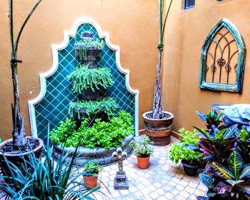 House for rent - Best view in San Miguel , nicely furnished  Available  – San Miguel de Allende real estate photo 4