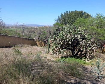 ¡Gran oportunidad de inversión! – San Miguel de Allende real estate photo 4