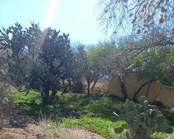 ¡Gran oportunidad de inversión! – San Miguel de Allende real estate photo 3