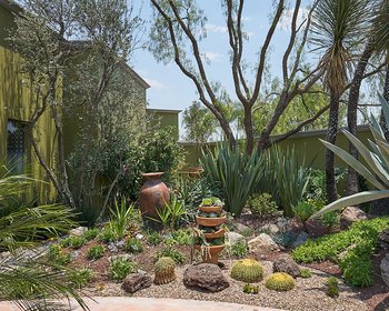  – San Miguel de Allende real estate photo 4