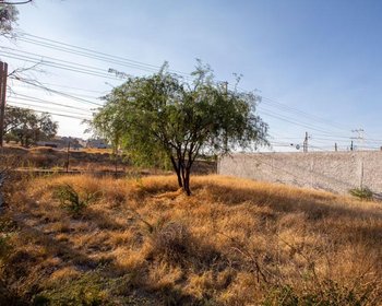 ECLIPSE LOT – San Miguel de Allende real estate photo 4