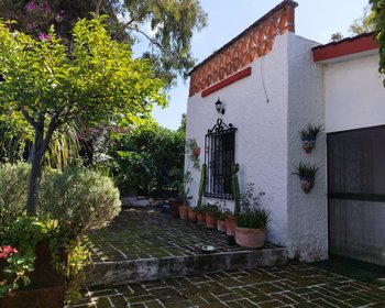  – San Miguel de Allende real estate photo 4